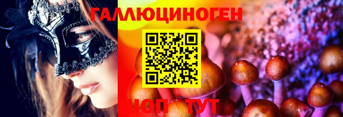 сколько стоит  Галлюциногенные грибы MAGIC MUSHROOMS  Вход с VPN  Каспийск 